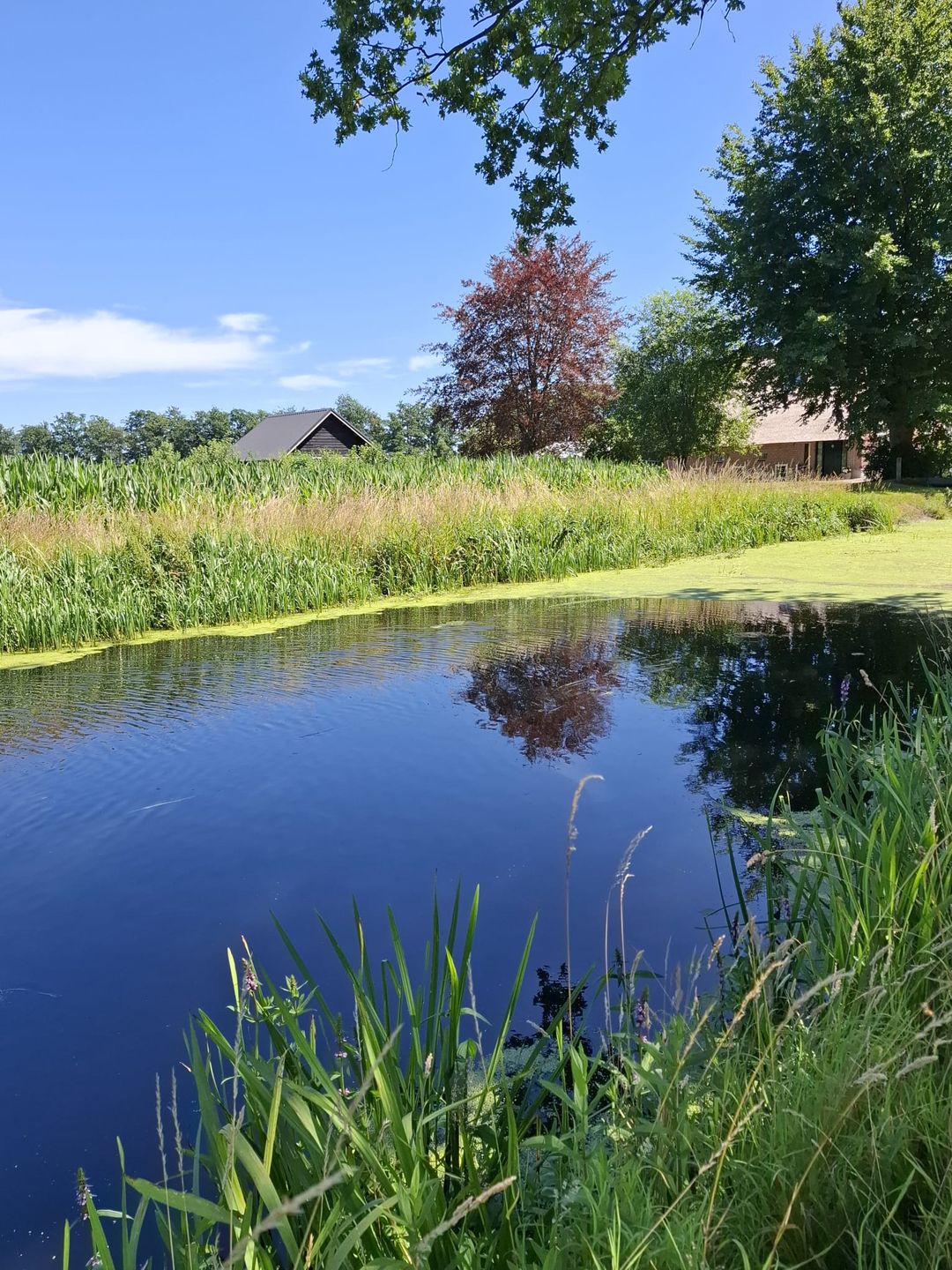 Foto 61 van Wechterholt 4-B