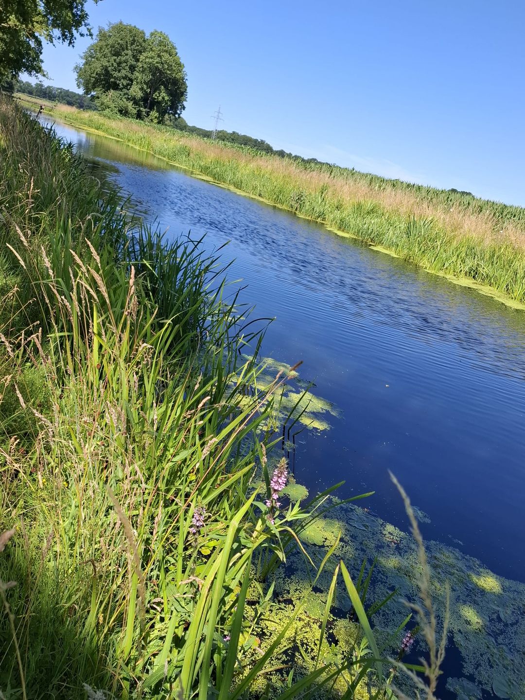 Foto 62 van Wechterholt 4-B