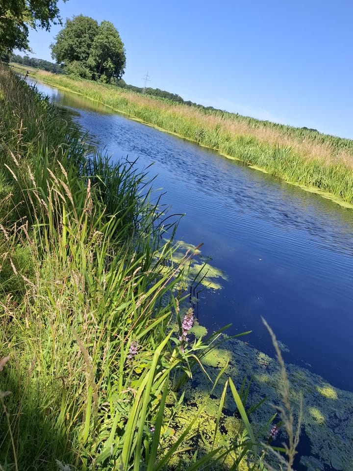 Photo 62 of Wechterholt 4-B