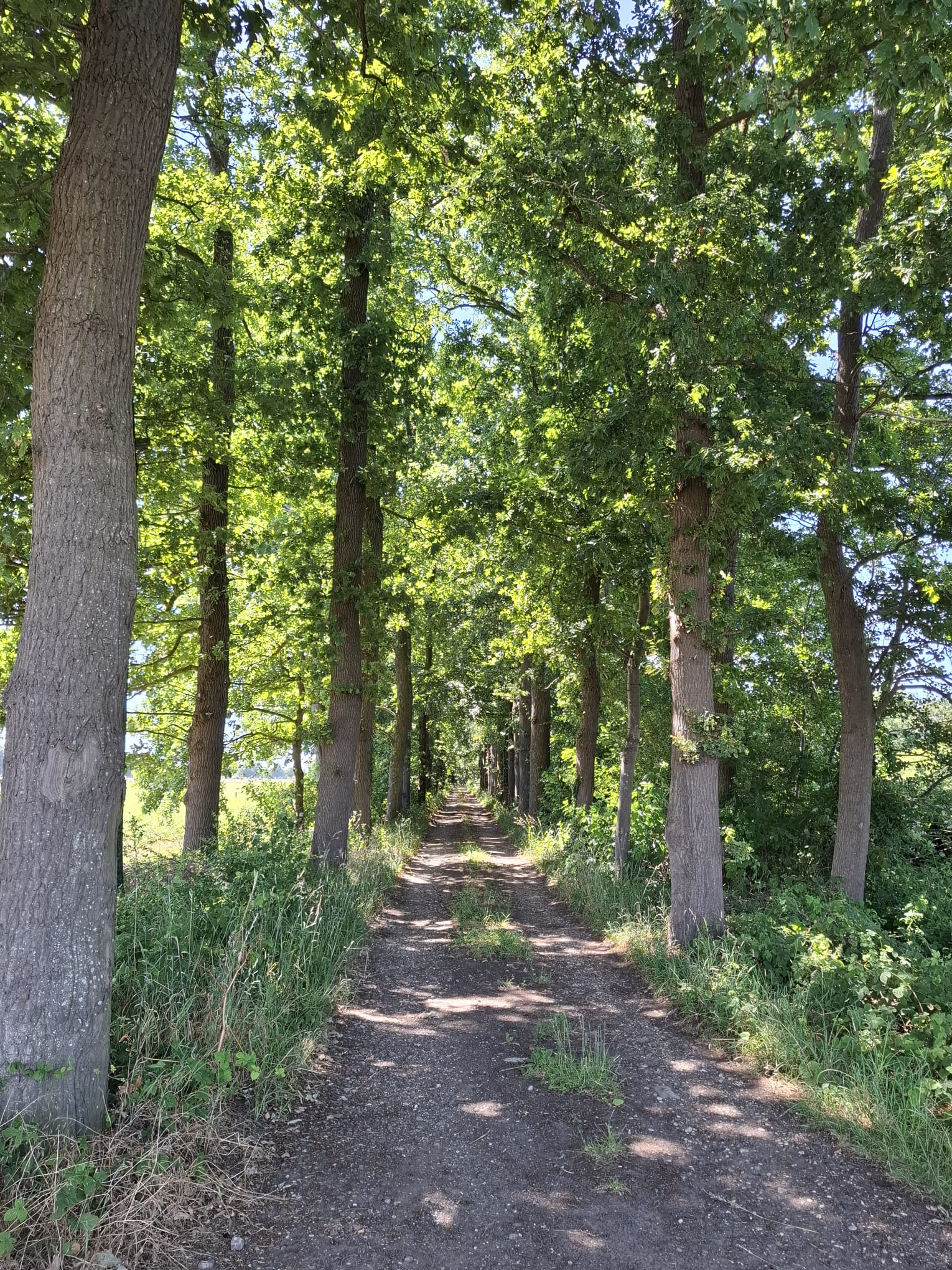 Foto 63 van Wechterholt 4-B