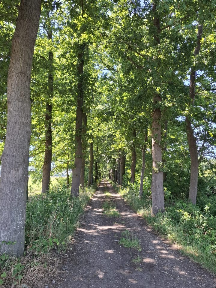 Photo 63 of Wechterholt 4-B