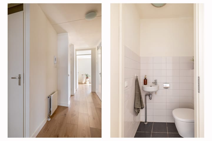 Foto 14 van De Rungraaf 4