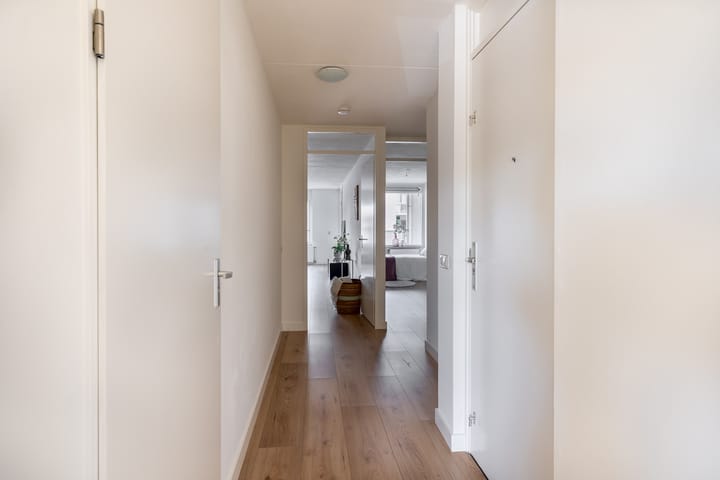 Foto 29 van De Rungraaf 4