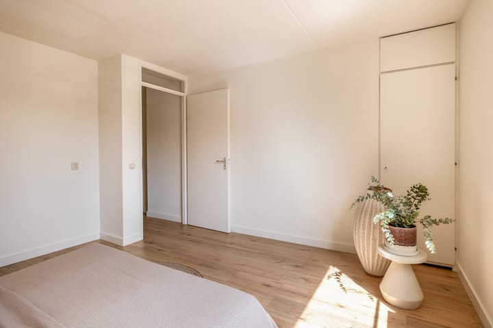 Foto 31 van De Rungraaf 4