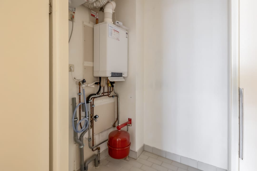 Foto 37 van De Rungraaf 4