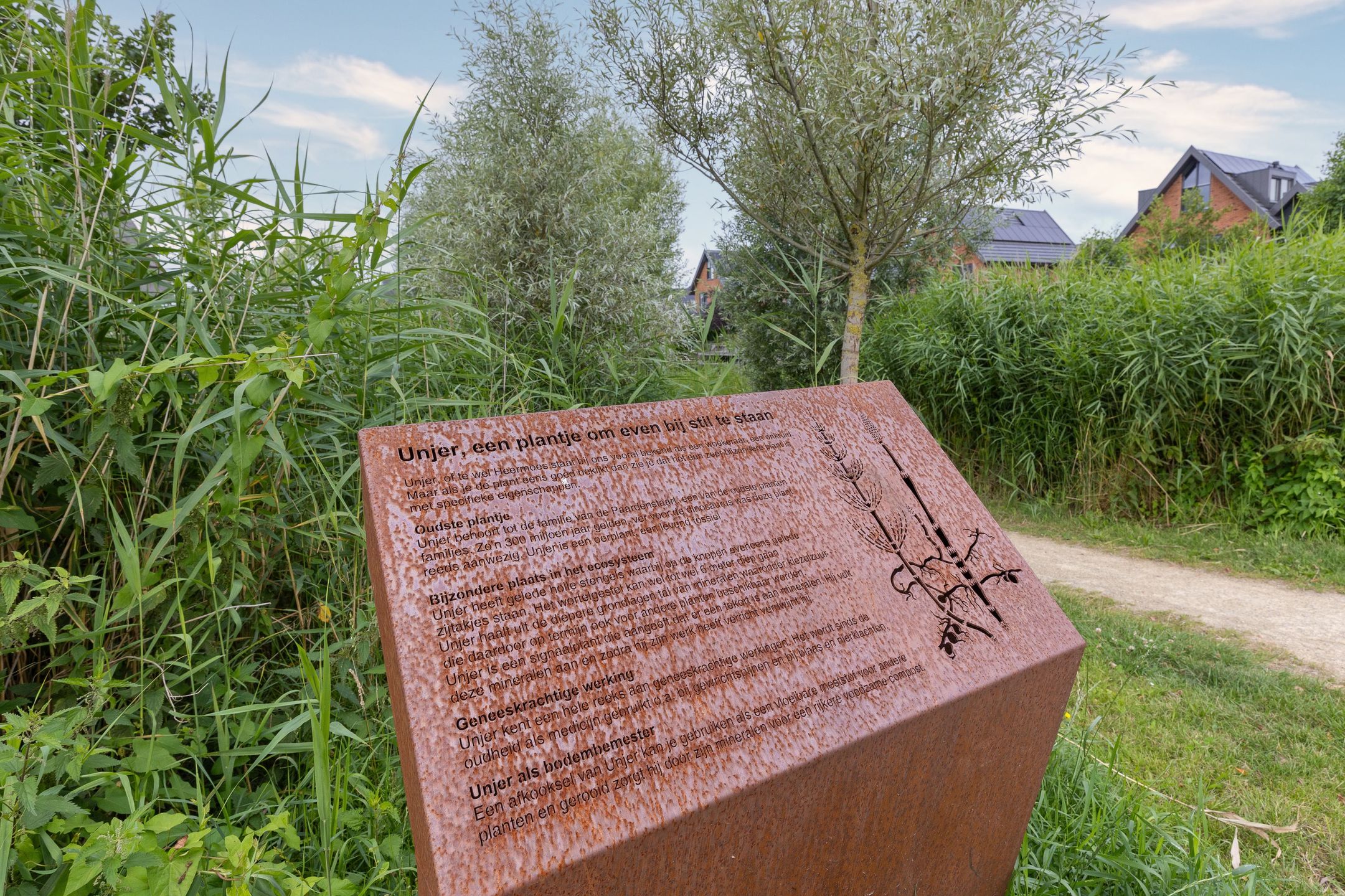 Foto 42 van Lage Hoek 119