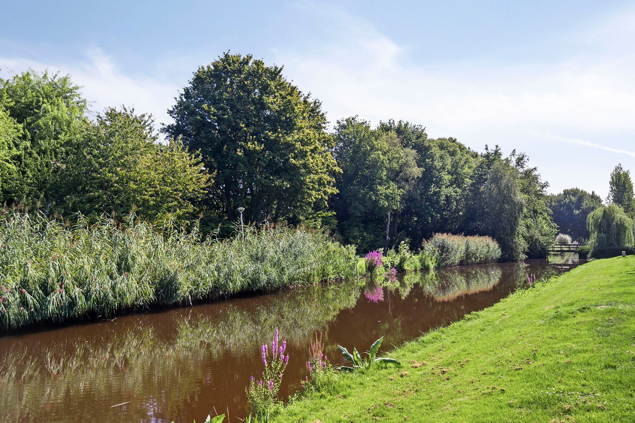 Foto 39 van Barend van Dorenweerdelaan 17