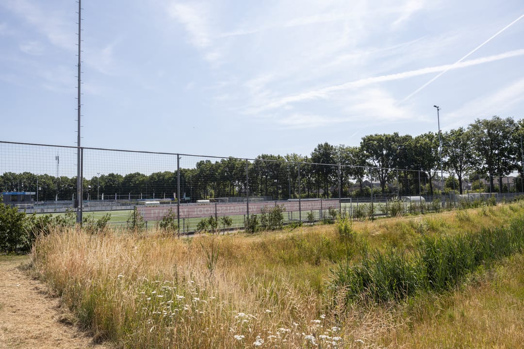 Foto 38 van Litas 12