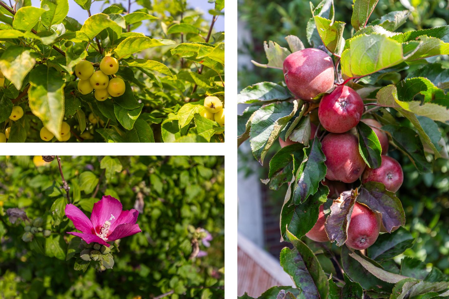 Foto 44 van Meierijlaan 38