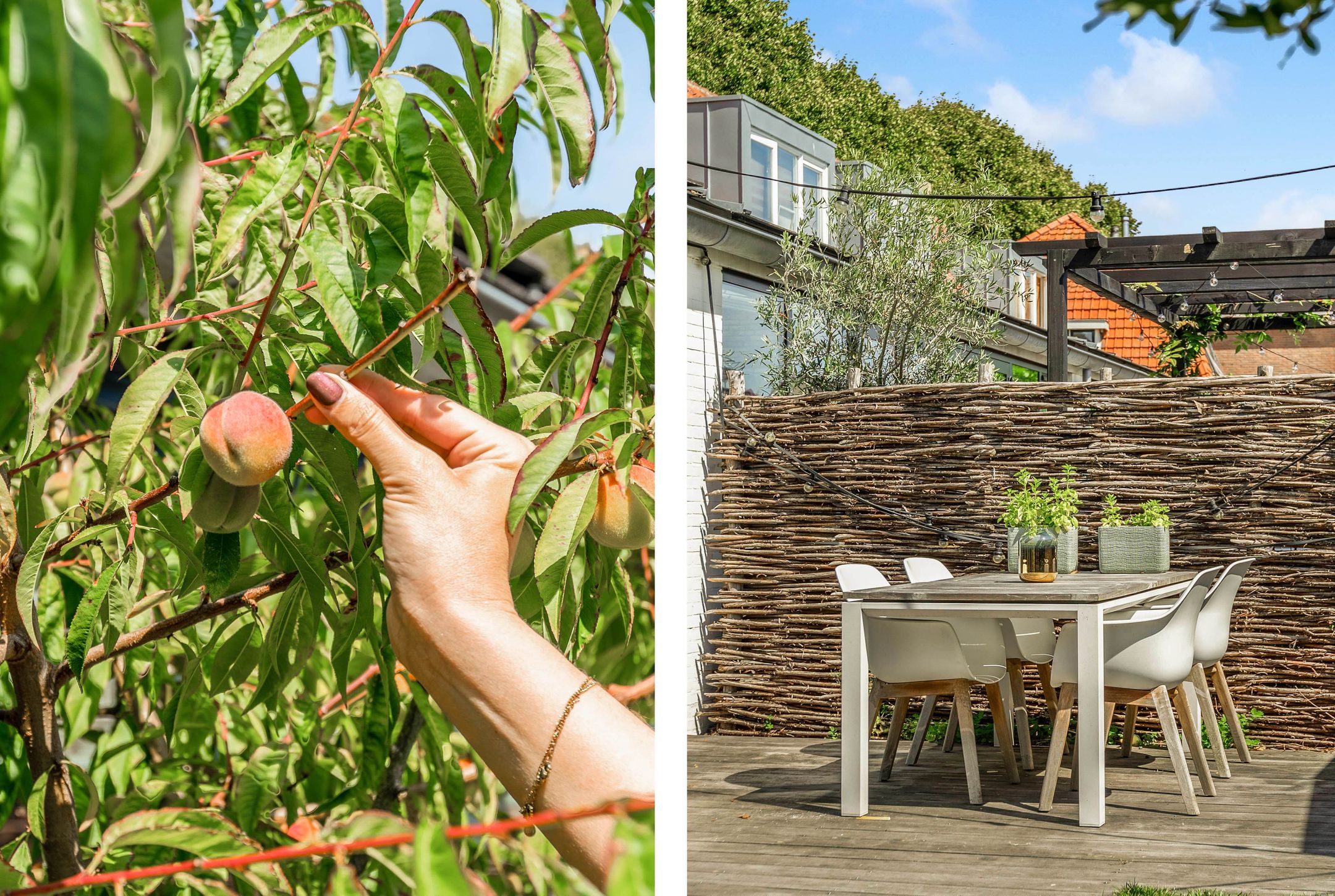 Photo 15 of Slotweg 4