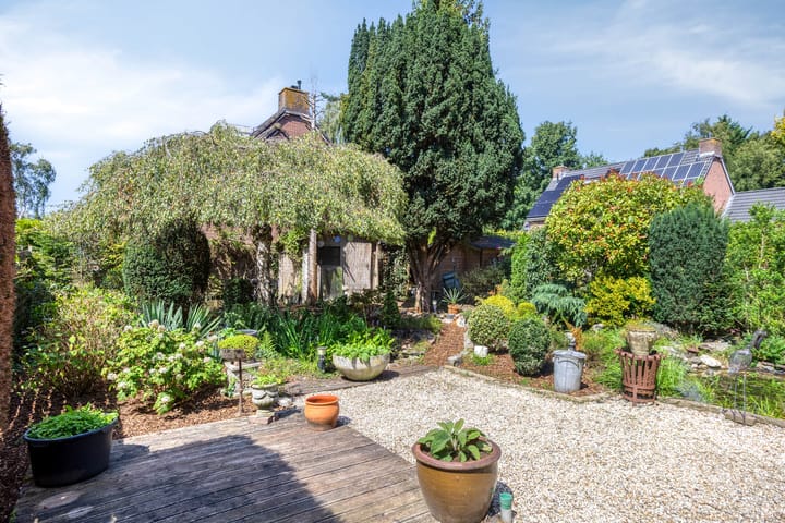 Foto 43 van Buitenhof 111