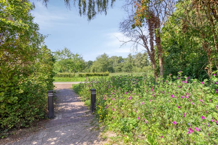 Foto 51 van Buitenhof 111