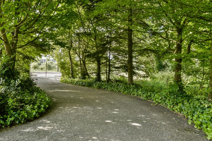 Foto 11 van Scheepsbouwersweg 13