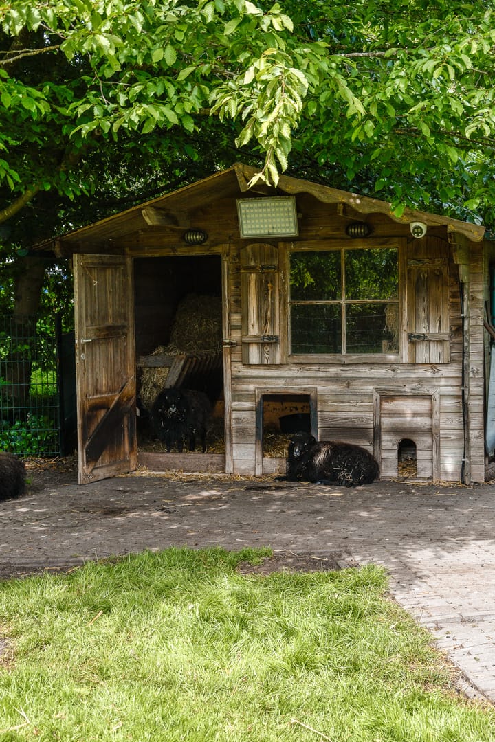 Foto 43 van Scheepsbouwersweg 13