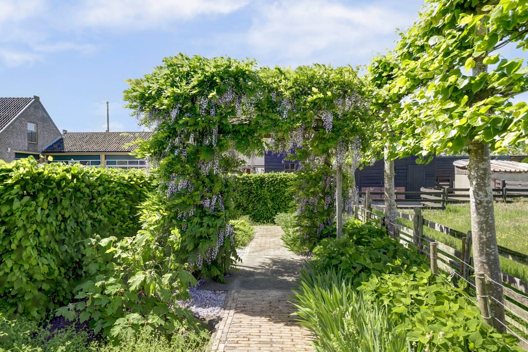 Photo 38 of Noordzijdseweg 229