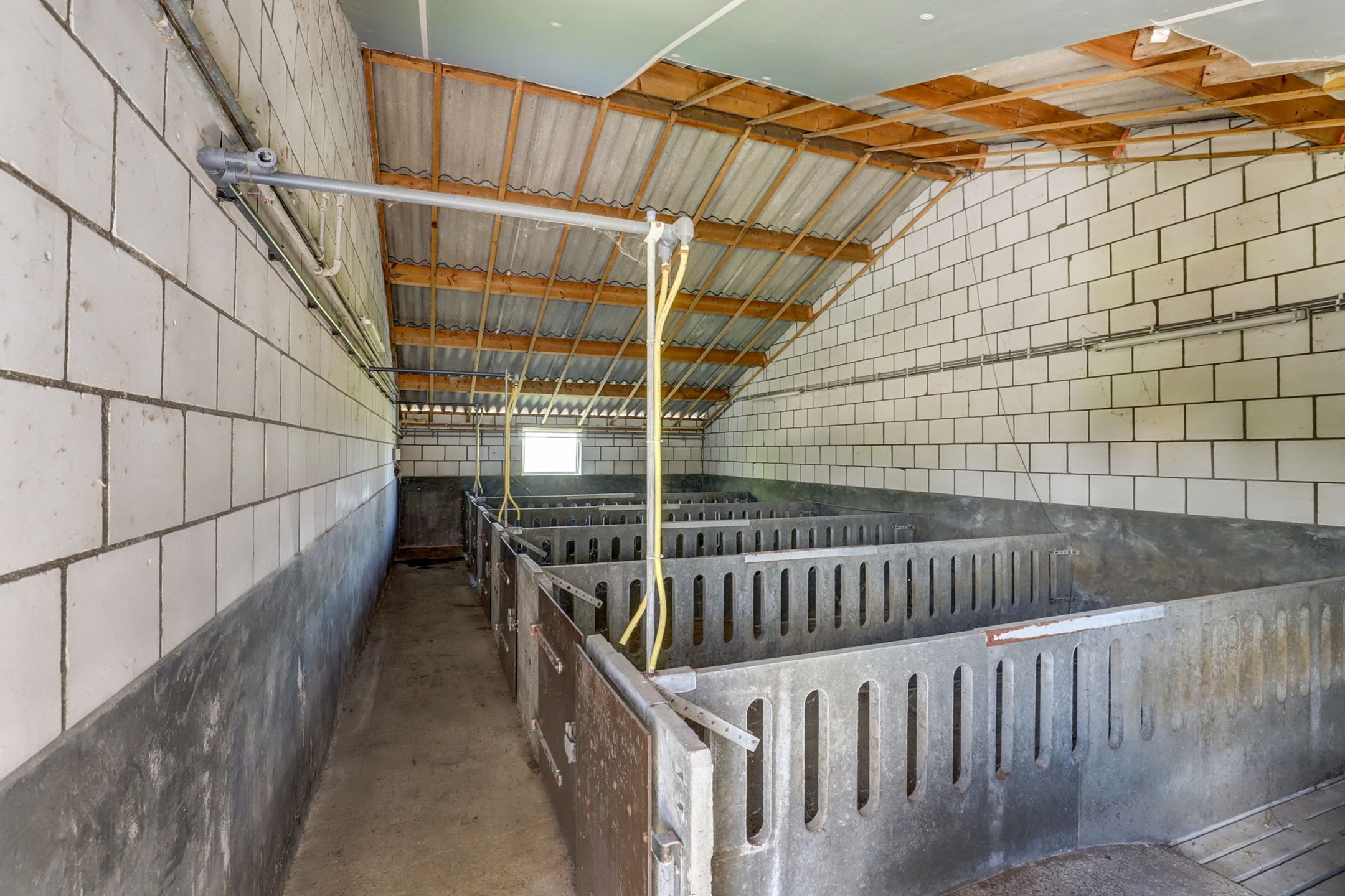 Photo 51 of Noordzijdseweg 229