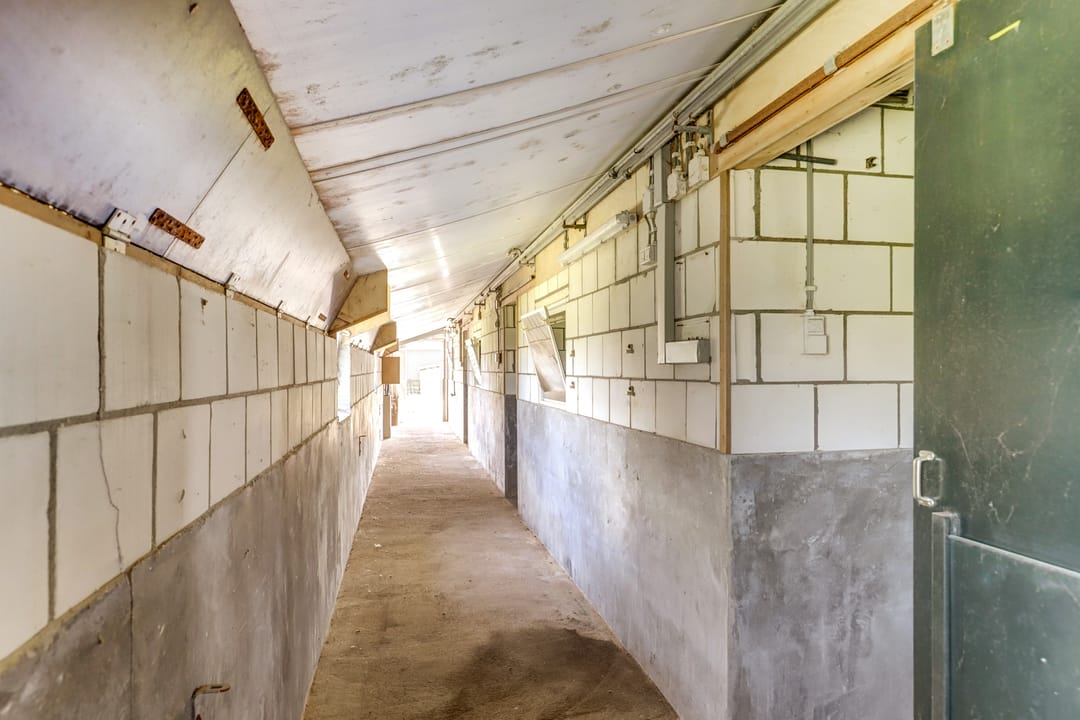 Photo 52 of Noordzijdseweg 229