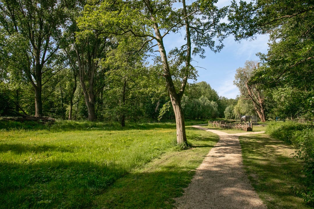 Photo 32 of Schaapsdijkweg 26
