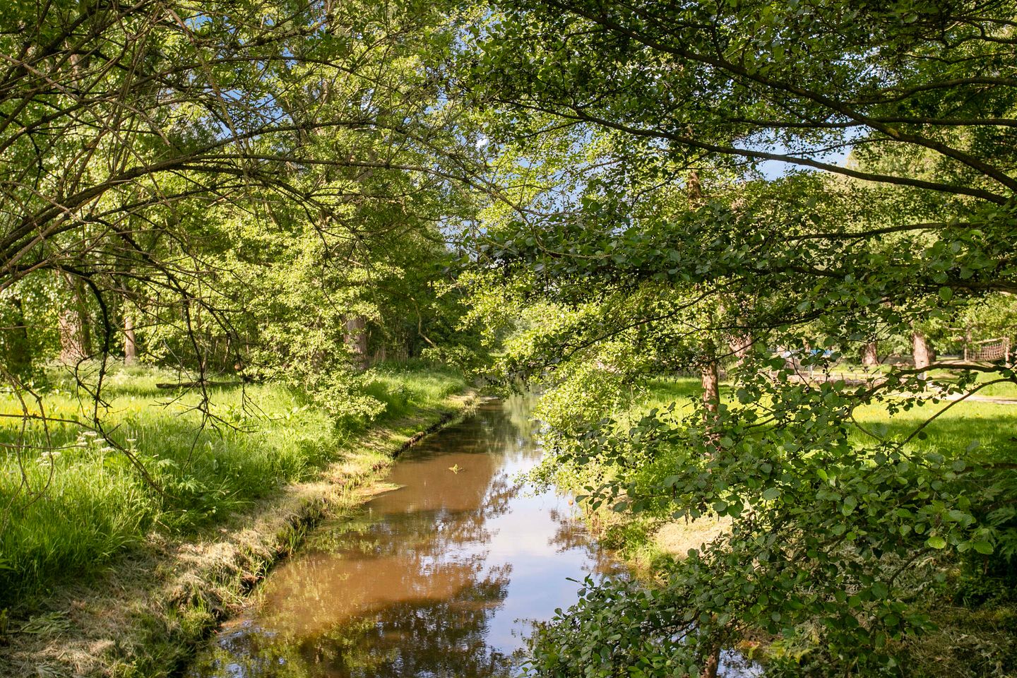 Photo 34 of Schaapsdijkweg 26