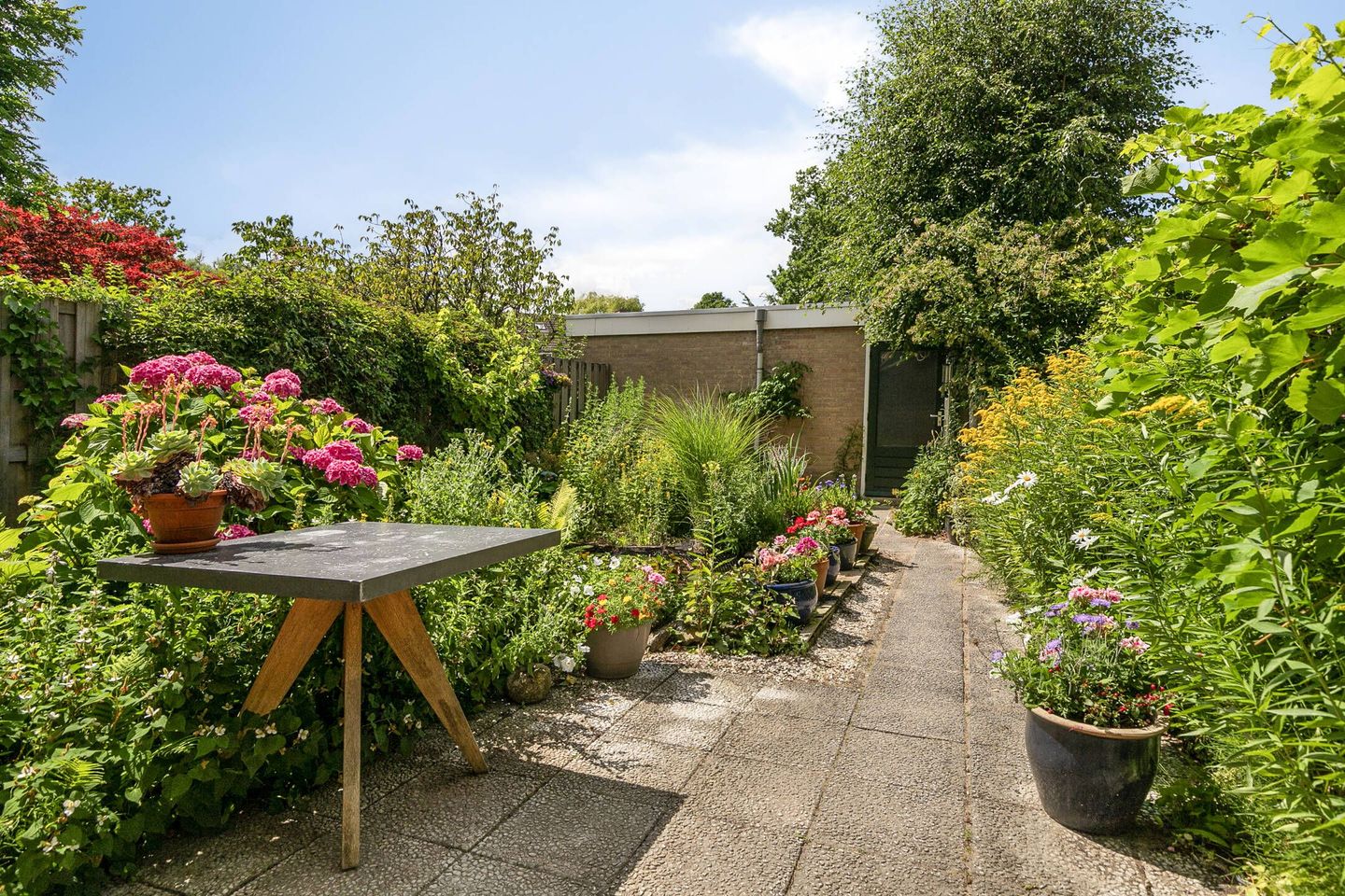 Foto 34 van Schoener 70