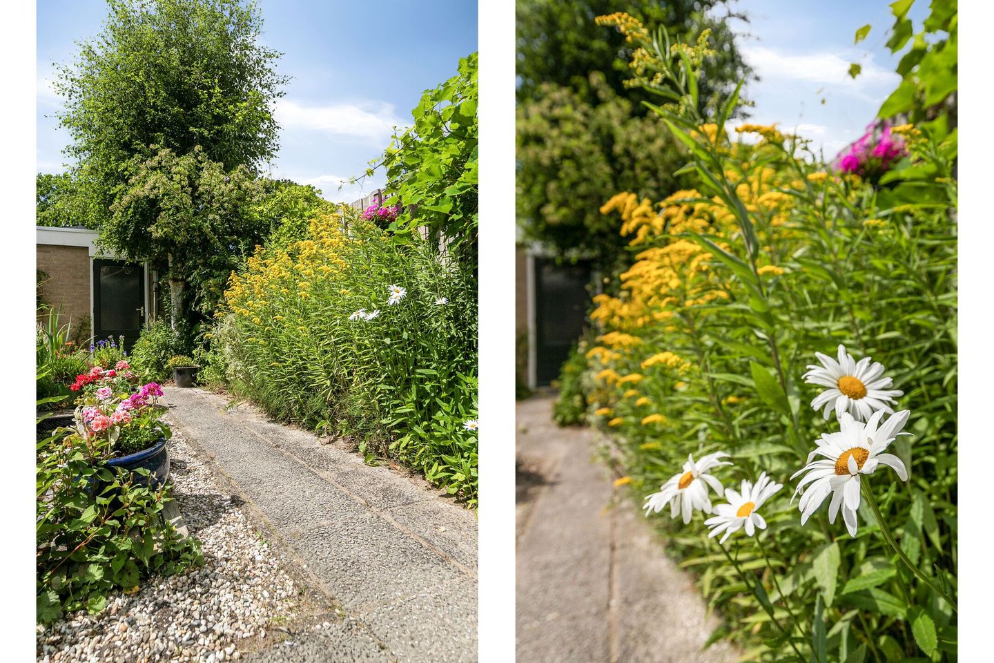 Foto 35 van Schoener 70