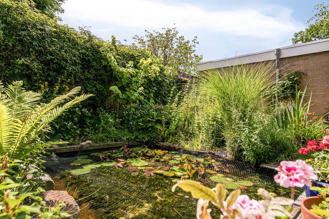 Foto 38 van Schoener 70