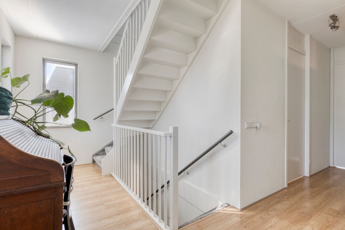 Foto 19 van Provence 12