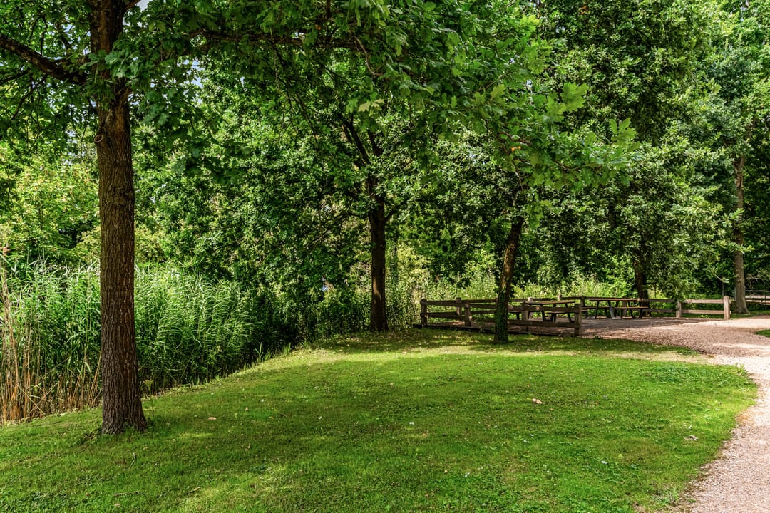 Photo 37 of Hof van Vronestein 115