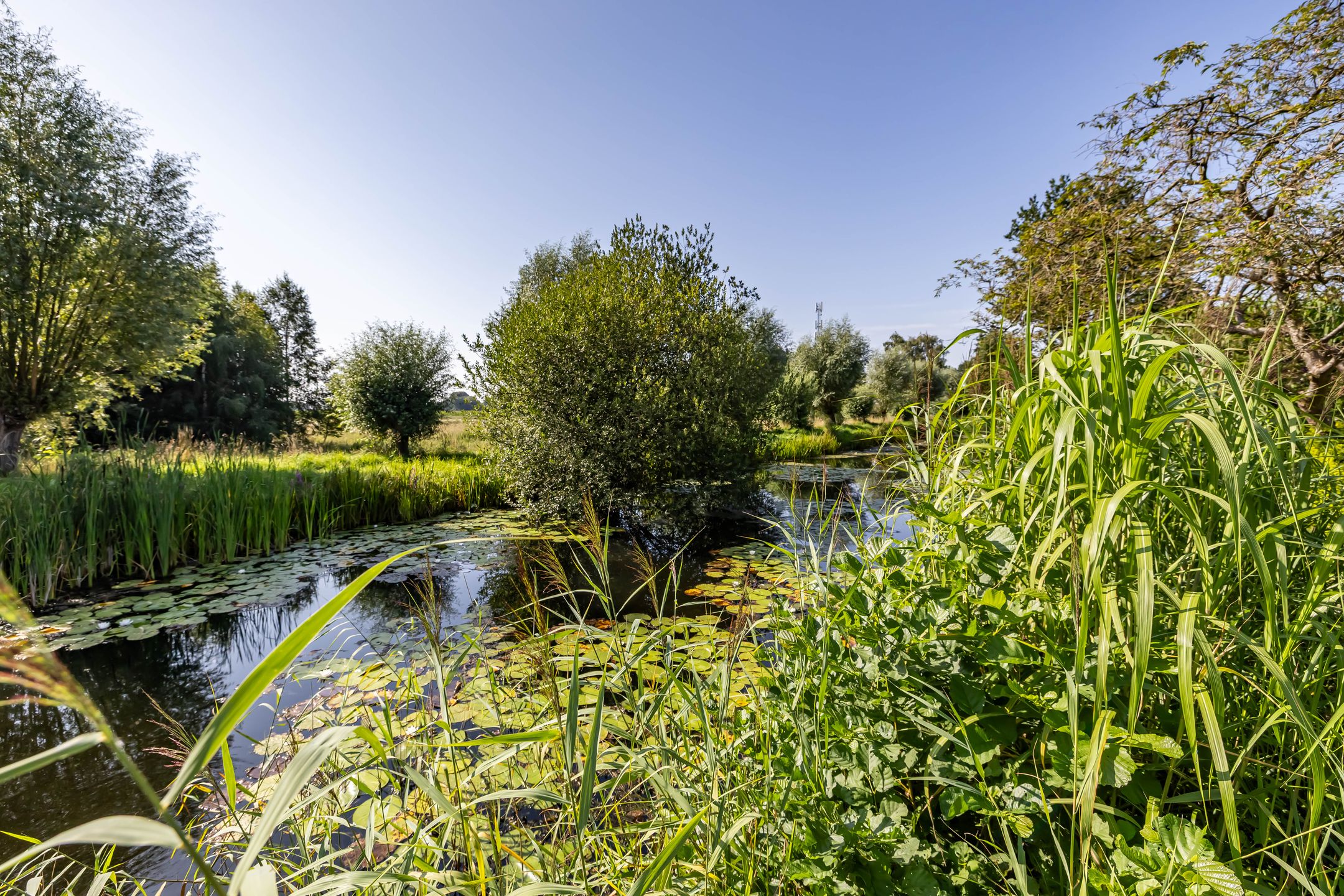 Madeweg 29 Monster - Meer