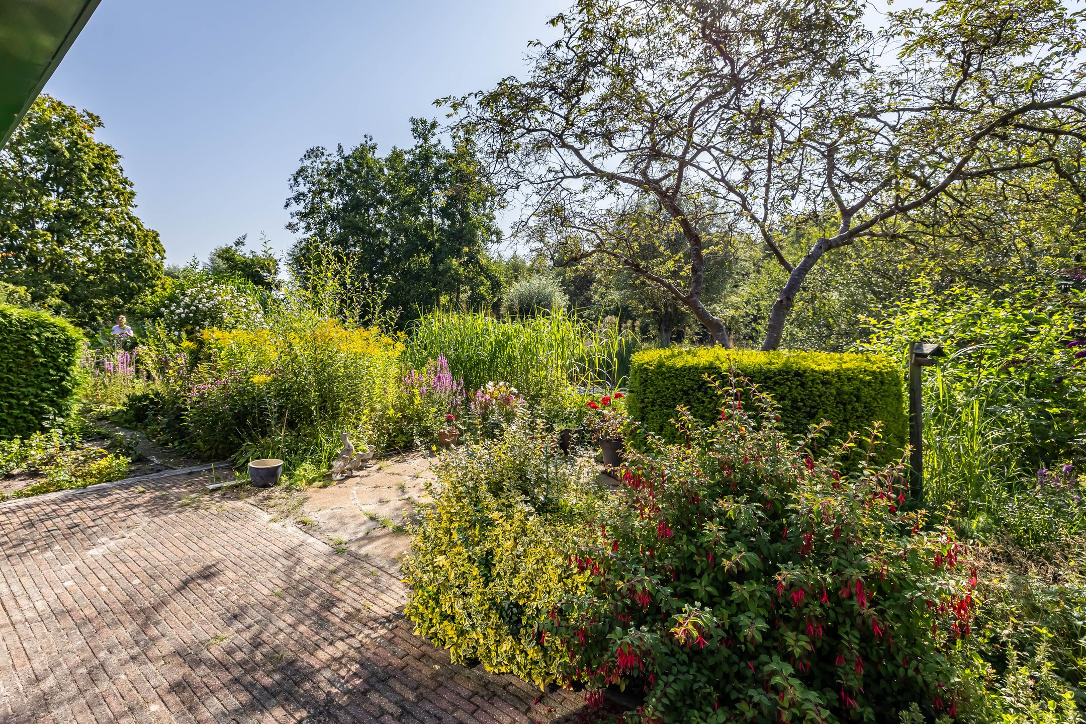 Foto 57 van Donkerslaan-Zevenhuizen 29