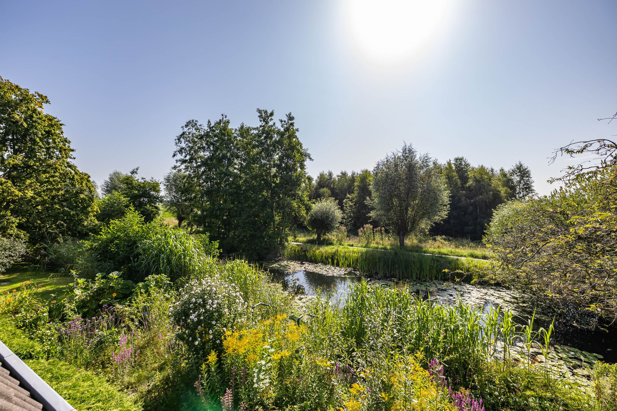 Foto 60 van Donkerslaan-Zevenhuizen 29