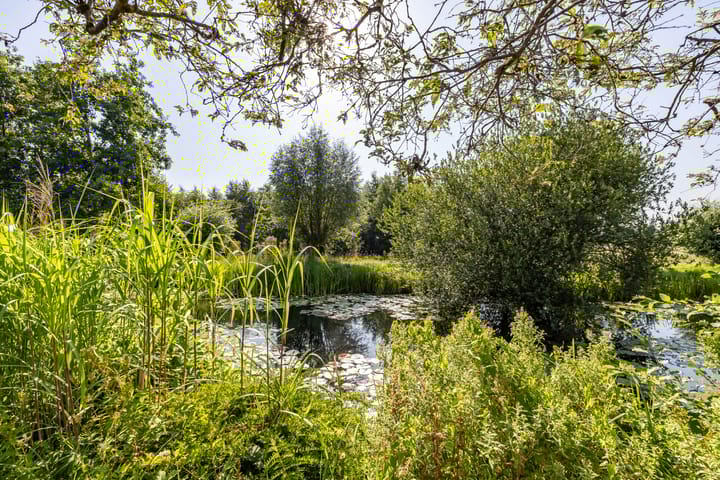 Photo 61 of Donkerslaan-Zevenhuizen 29