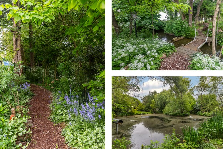 Foto 49 van Madeweg 29