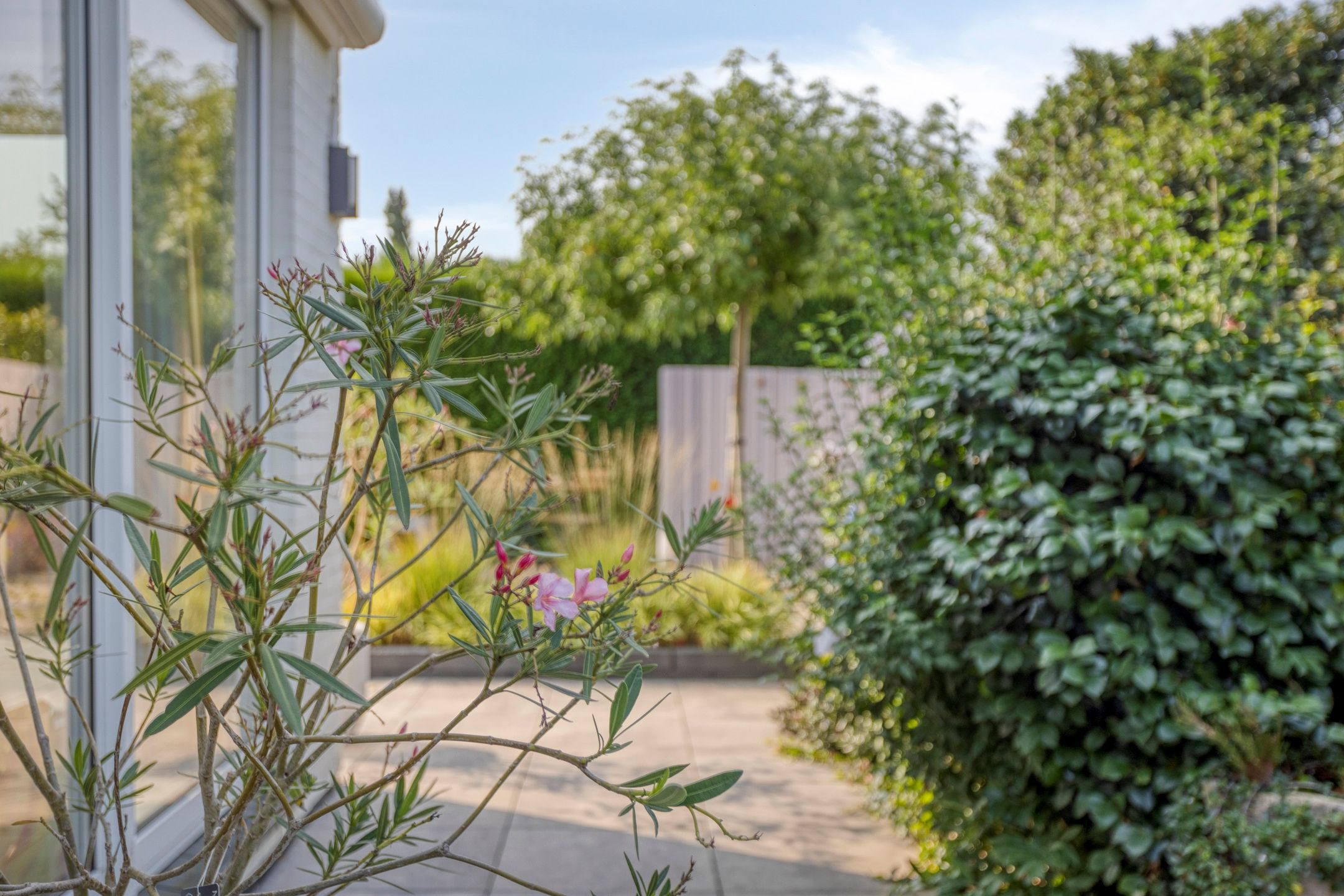 Foto 60 van Wilgenlaan 13