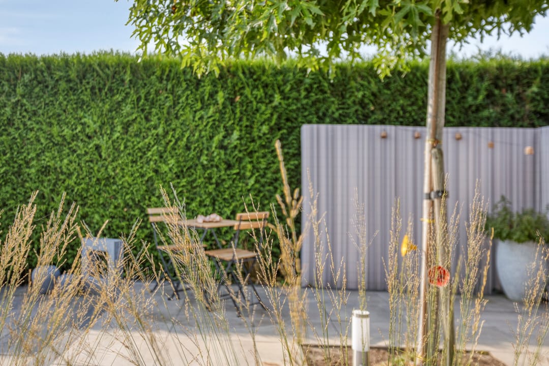 Foto 61 van Wilgenlaan 13