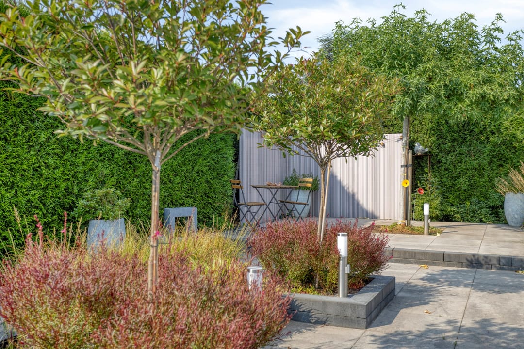 Foto 68 van Wilgenlaan 13