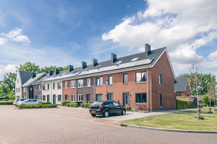 Photo 6 of Schrappaardje 2