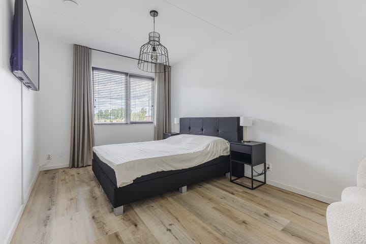 Photo 15 of Schrappaardje 2