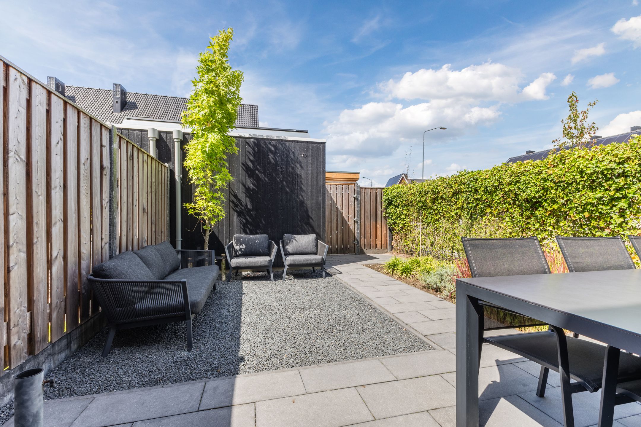 Photo 24 of Schrappaardje 2