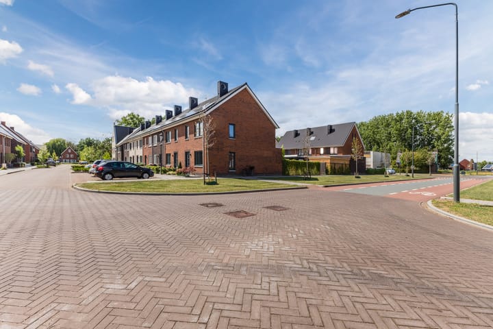 Photo 29 of Schrappaardje 2