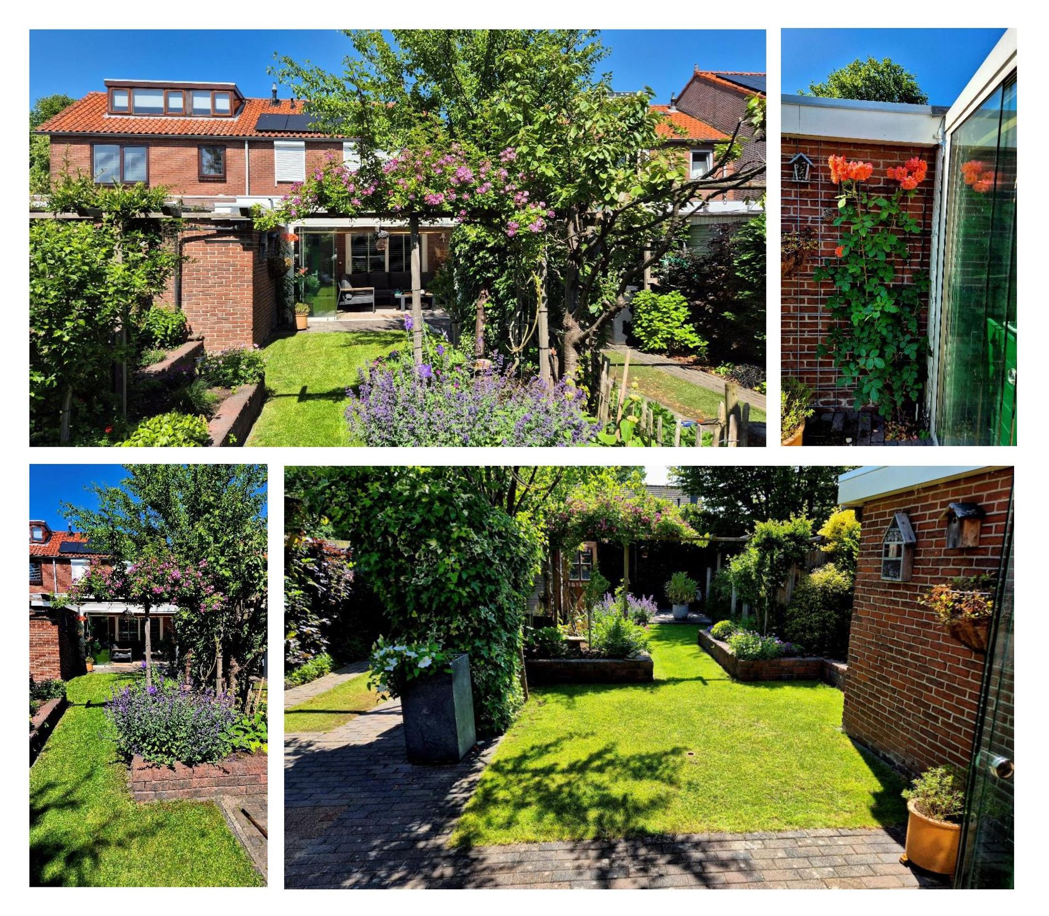 Foto 45 van Papaverstraat 51