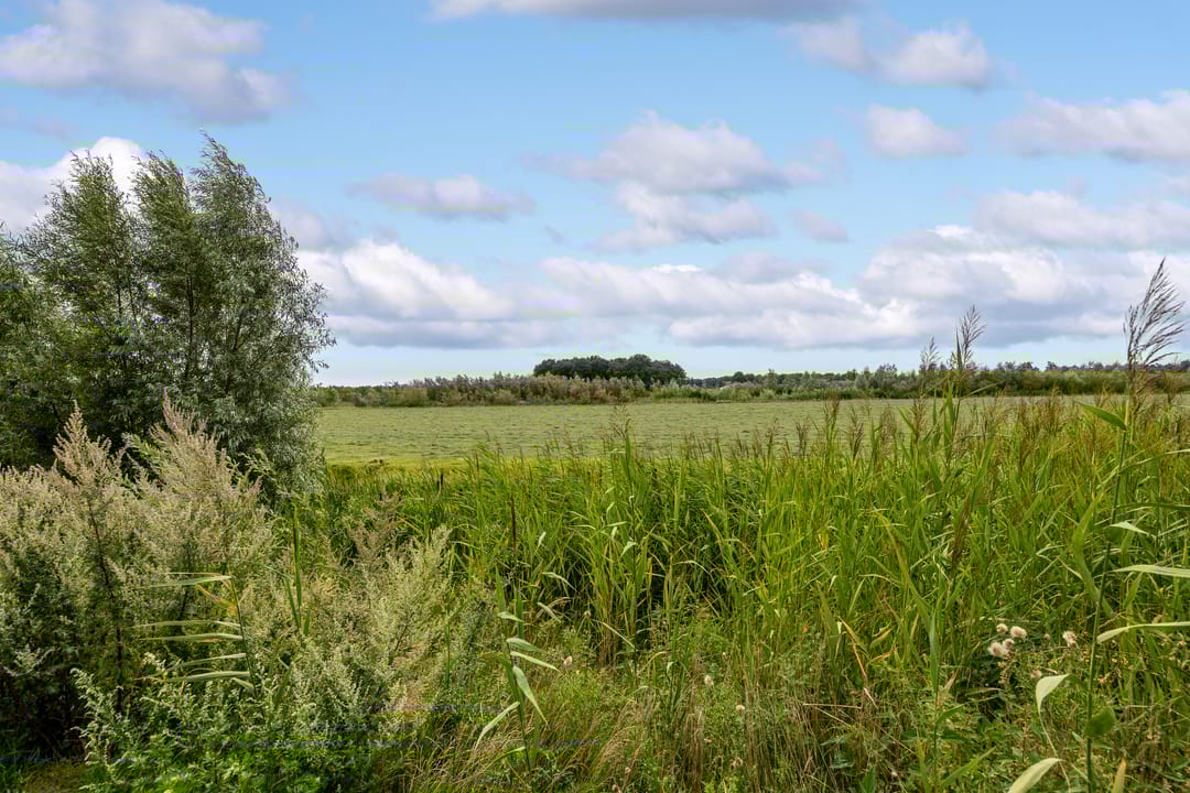 Foto 38 van Boshoek 20