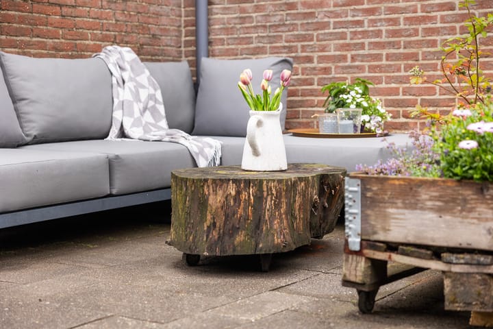 Foto 42 van van Dijksweg 28