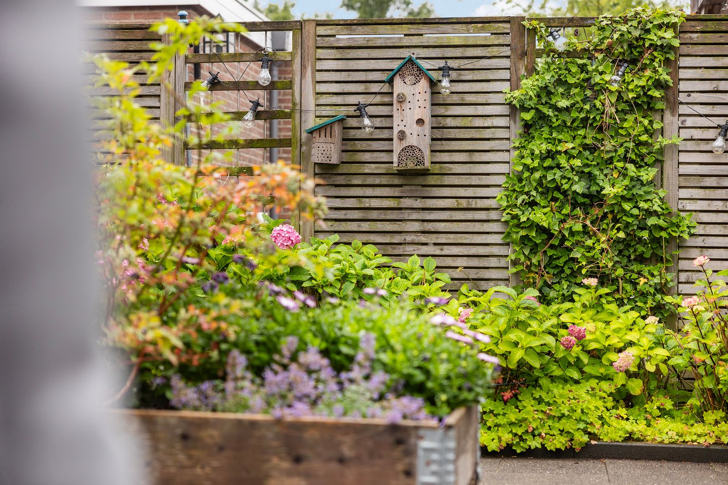 Foto 44 van van Dijksweg 28