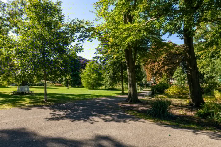 Foto 41 van Piet Heinplein 53