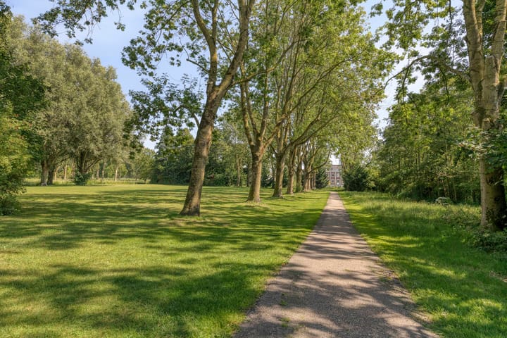 Foto 27 van Roedestraat 43