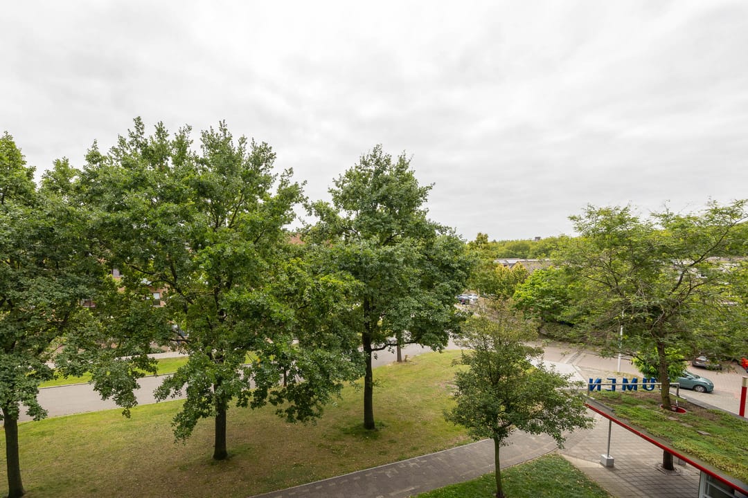 Foto 8 van Wederikstraat 23