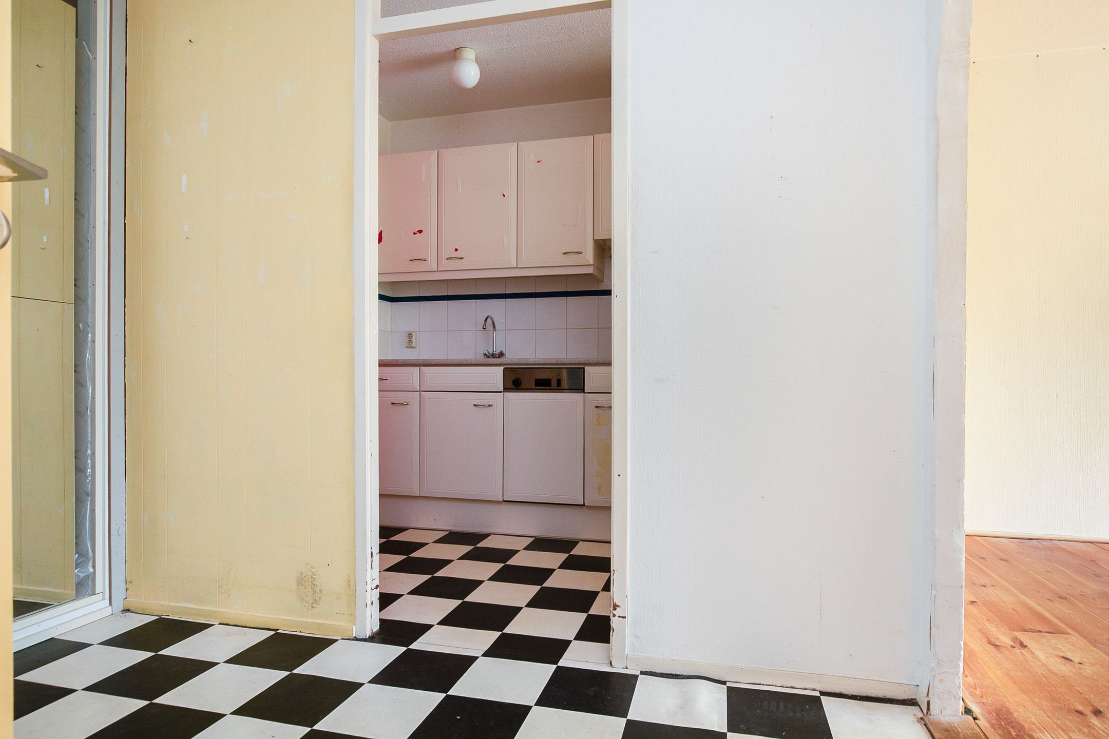 Foto 9 van De Rekere 2