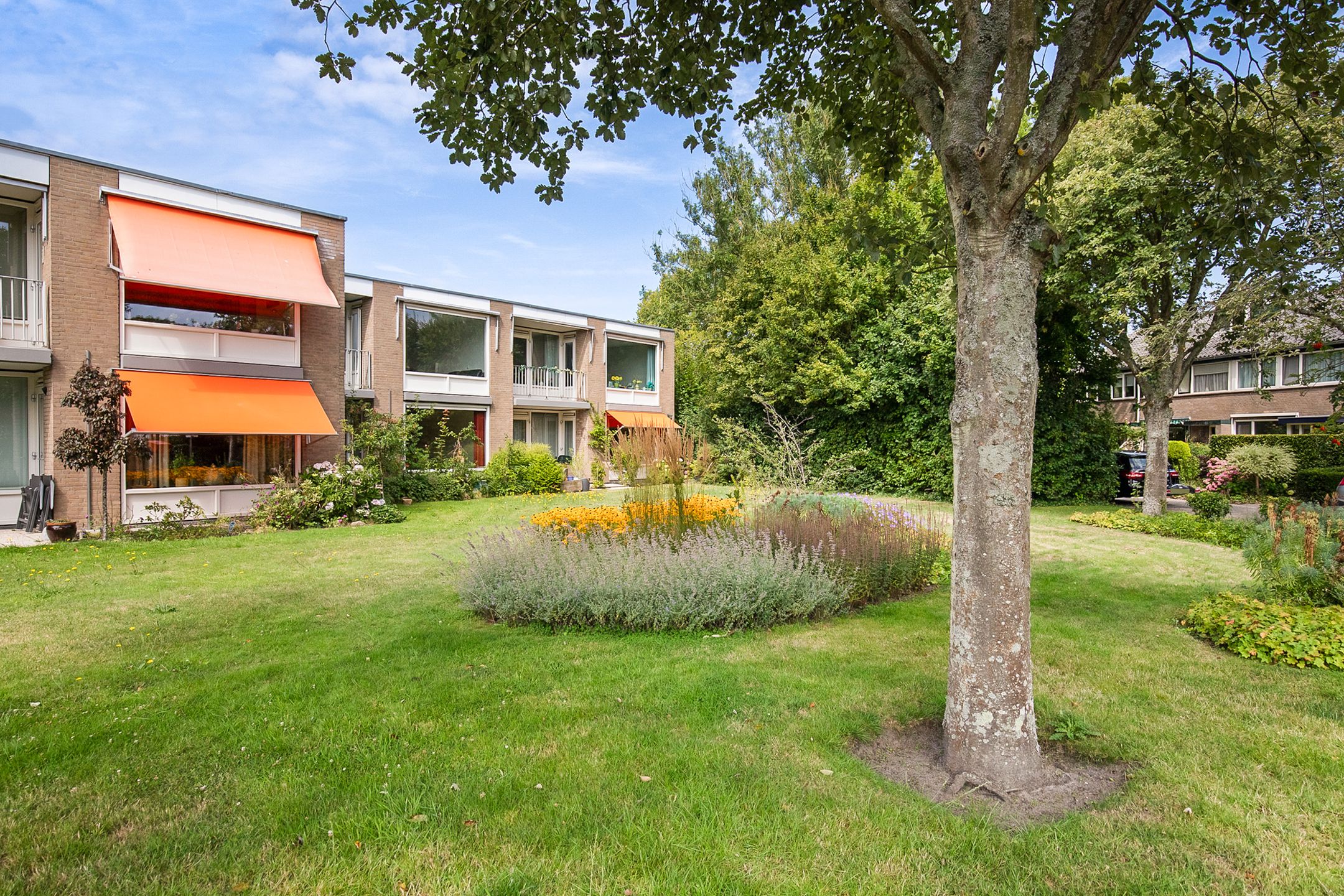 Foto 24 van De Rekere 2