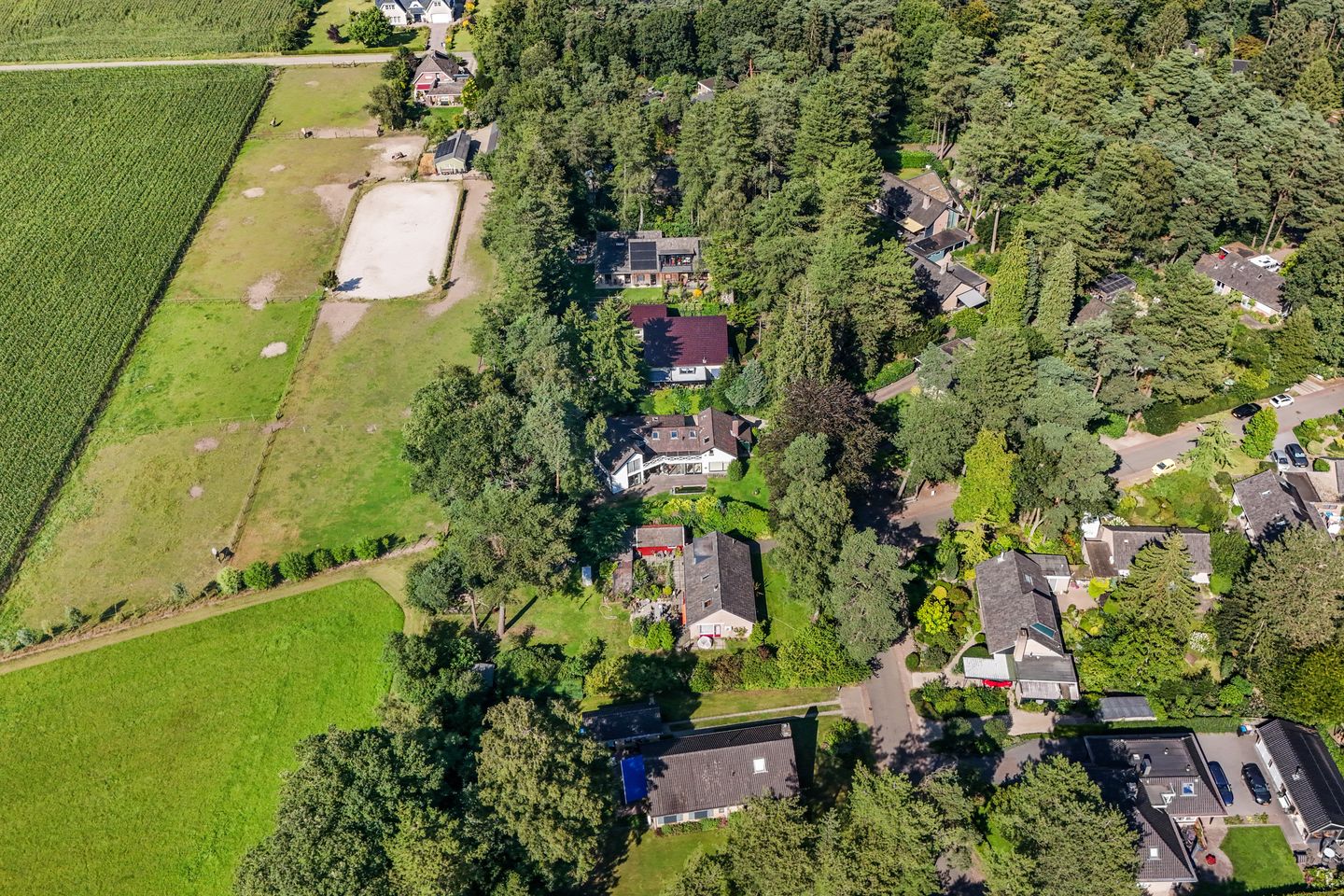 Foto 4 van Nuisvelderbos 5